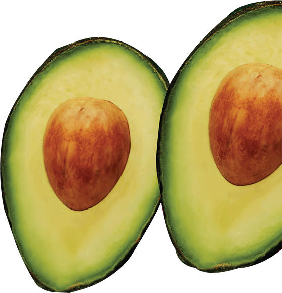 A picture of two sliced avocados on a white background.